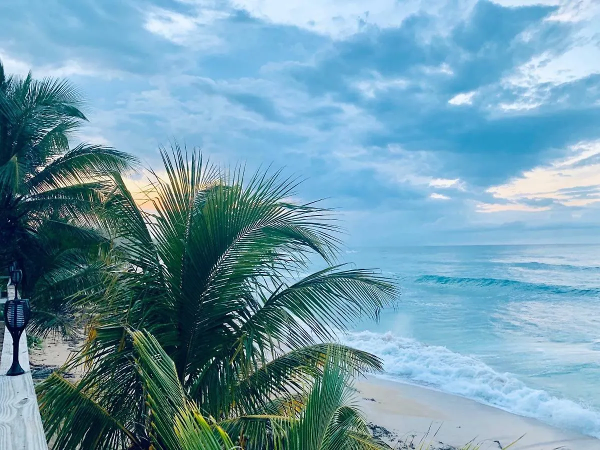 Homestay Ventana Al Atlantico At Arecibo 681 Ocean Drive